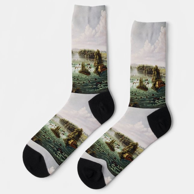 Falls of Saint Anthony von Henry Lewis Socken (Linkes Detail)