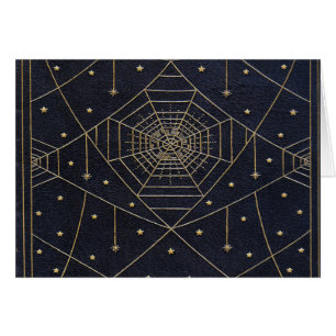 Fallspinnen Seidensterne