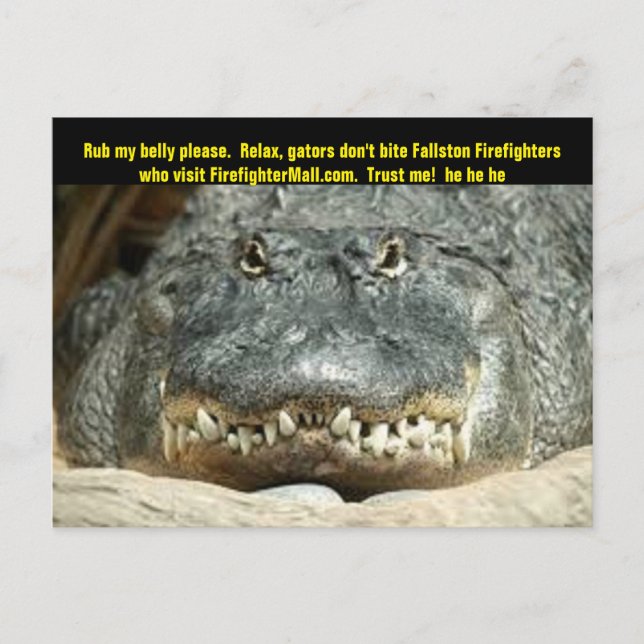 Fallston Firefighter Postcard Postkarte (Vorderseite)