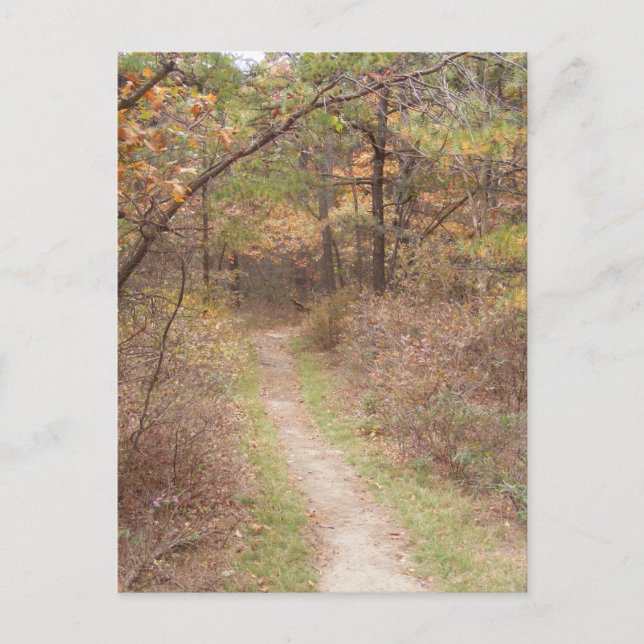 Fallsylvania Postkarte (Vorderseite)