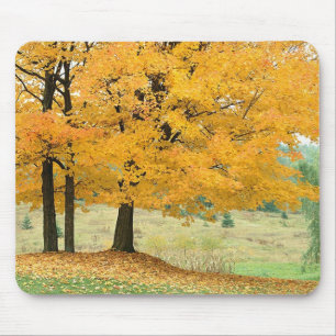 Fallszene Mousepad