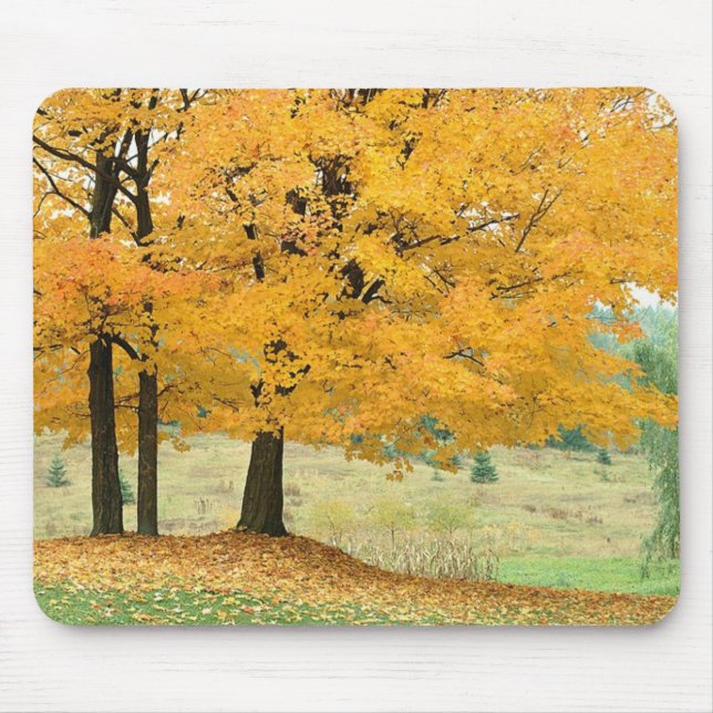 Fallszene Mousepad (Vorne)