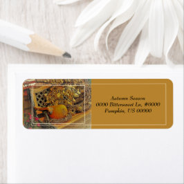 Fallszene / Pumpkin & Bittersweet Vine auf der Ben