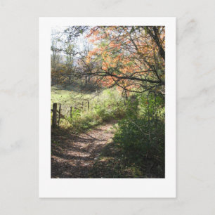 Fallweg-Postkarte Postkarte