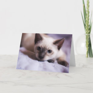 Falsch niedliche Karte