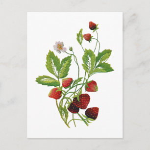 Falsche bestickte frische Erdbeeren Postkarte