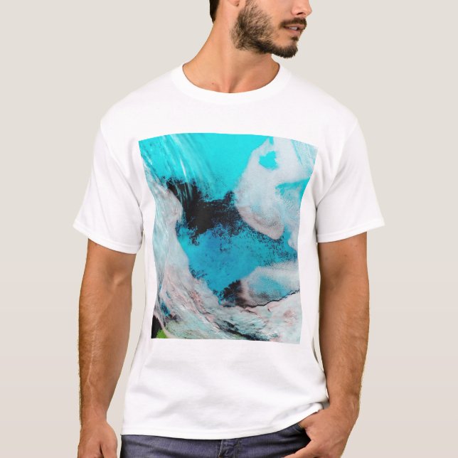 Falsche Farbansicht von Polynya (offenes Wasser) T-Shirt (Vorderseite)