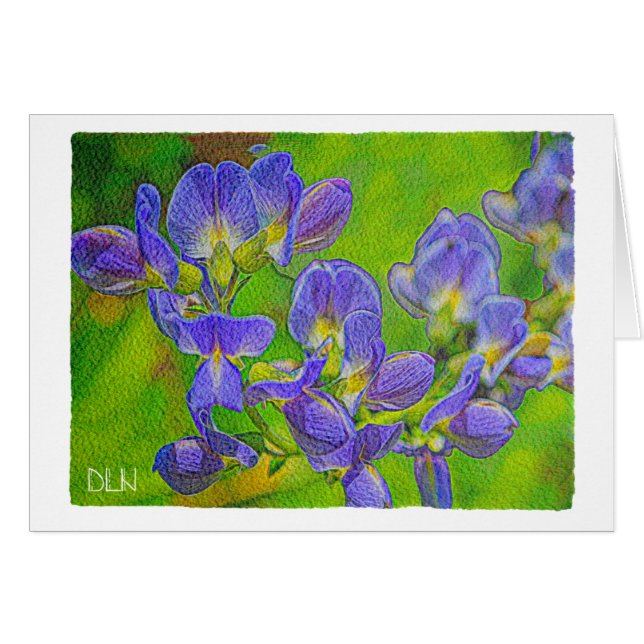 Falsche Indigo/Blumenkunst/Aquarellbild (Vorderseite (Horizontal))