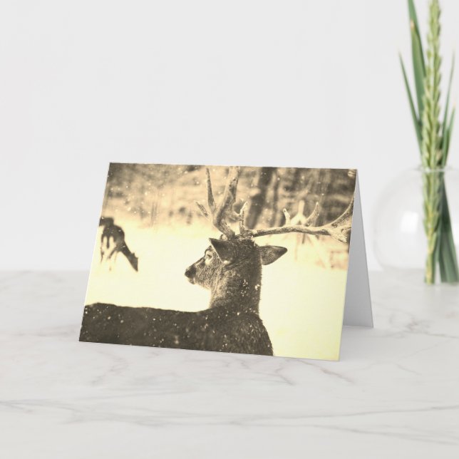 FALSCHE KARTENDECKE IN SCHNEE KUNSTBAR (Vorderseite)