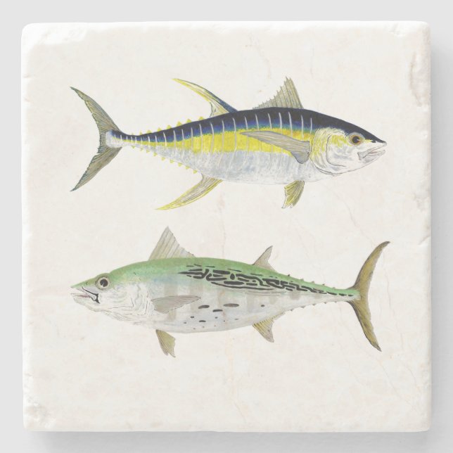 Falscher Albacore-u. Steinuntersetzer (Vorderseite)