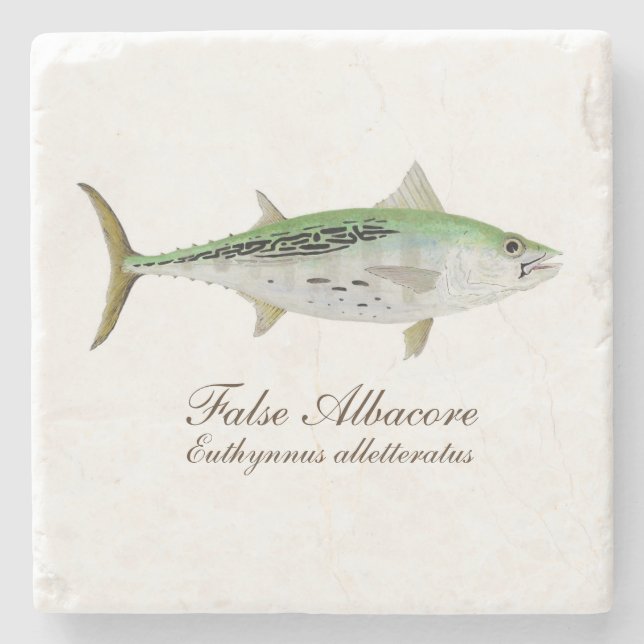 Falscher Albacore-Untersetzer Steinuntersetzer (Vorderseite)