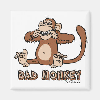 Falscher Monkey-Magnet Magnet