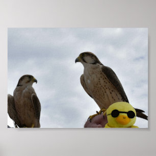 Falscher Ort Falsche Zeit Poster