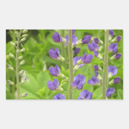 False Indigo (Baptisia australis) Rechteckiger Aufkleber