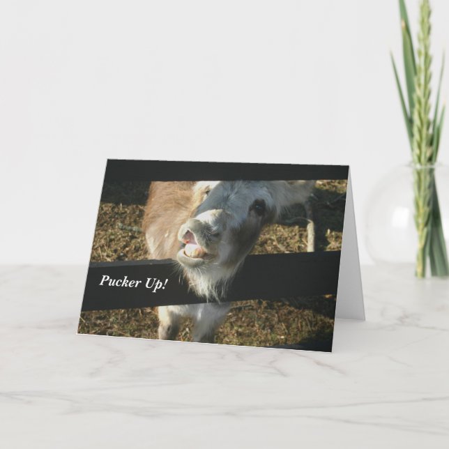 Fältchen oben! feiertagskarte (Vorderseite)