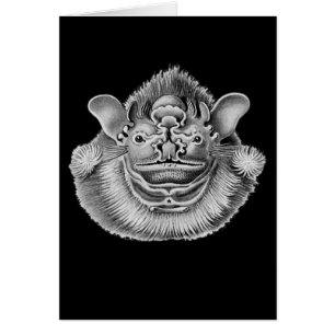 Falte-gesichtiger Schläger