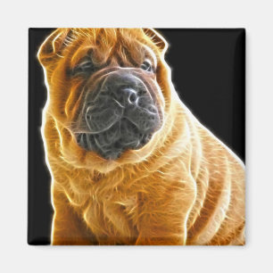 Falten, das chinesische Shar Pei Hündchen Magnet