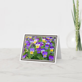 Falten Grußkarte - Violetten! Karte