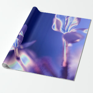Faltenpapier und blaues Umschlagpapier Geschenkpapier