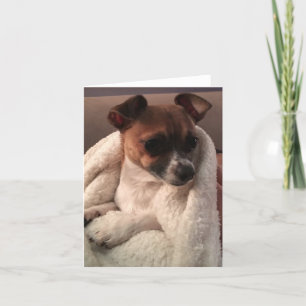 Faltkarte Dankeskarte