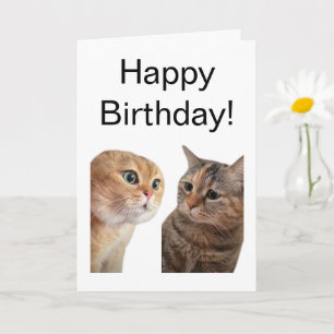 Faltkarte, die Cats Meme spricht Karte