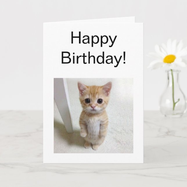 Faltkarte El Gato Cat Meme Karte (Kleine Pflanze)