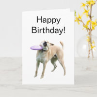 Faltkarte Frisbee Dog Meme