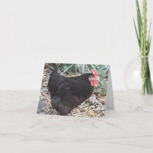 Faltkarte für das Foto "Black Cochin Chicken"