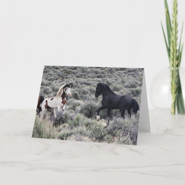 Faltkarte für Shaman und Twister (Vorderseite)