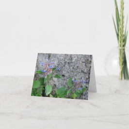 Faltkarte - Herculaneum Karte