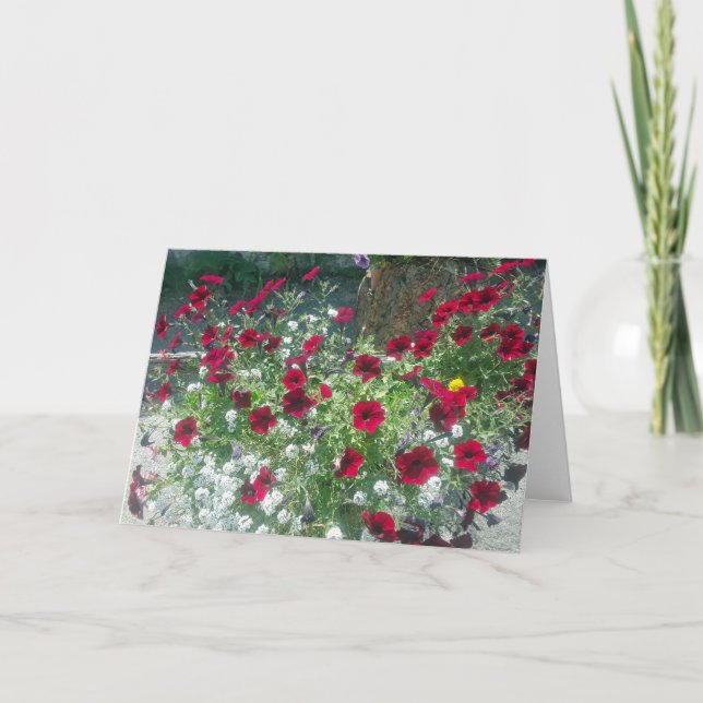 Faltkarte mit Alpine Petunias Karte (Vorderseite)