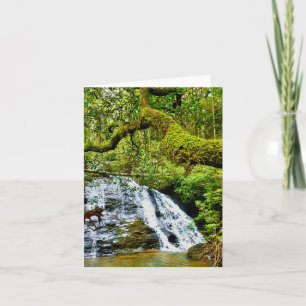 Faltkarte mit Wasserfall Karte