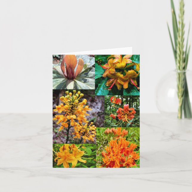 Faltkarte mit Wildblume-Collage Karte (Vorderseite)