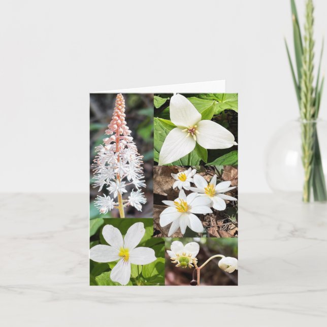 Faltkarte mit Zusammenstellung von Wildblumen Karte (Vorderseite)