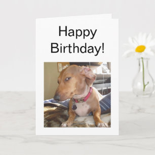 Faltkartenseite des Auges Karte