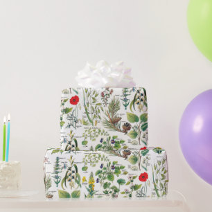 Faltpapier für botanische Illustrationen Geschenkpapier