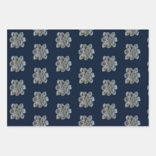 Faltpapierblätter 3 Austern Geschenkpapier Set