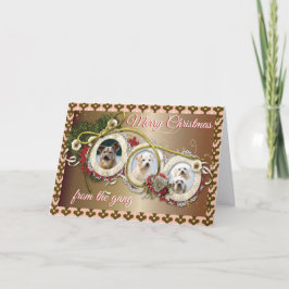 Faltschachtel für den Hund Lover Karte