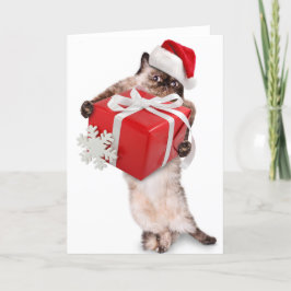 Faltschachtel Weihnachtskarte SANTA CAT MIT GESCHE Feiertagskarte