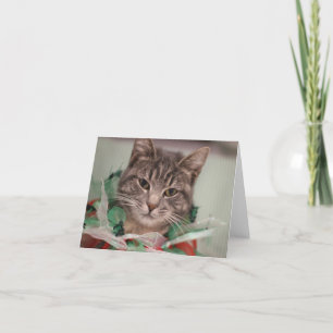 FAMD Weihnachtskatze Dankeskarte