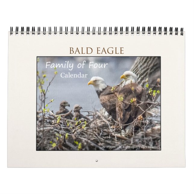 Familie Bald Eagle Kalender (Titelbild)