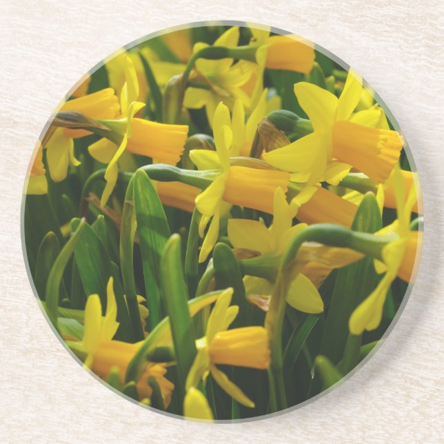Familie Daffodil Getränkeuntersetzer (Vorne)