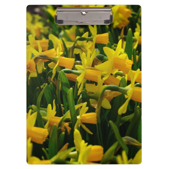 Familie Daffodil Klemmbrett (Vorderseite)