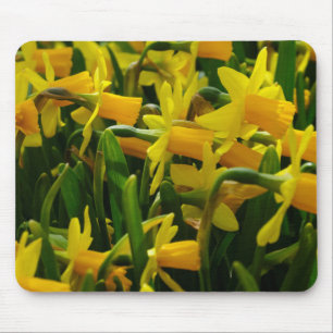 Familie Daffodil Mousepad