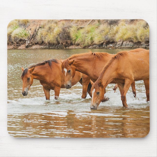 Familie der Braunen Pferde am Fluss Mousepad (Vorne)