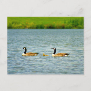 Familie der drei postkarte