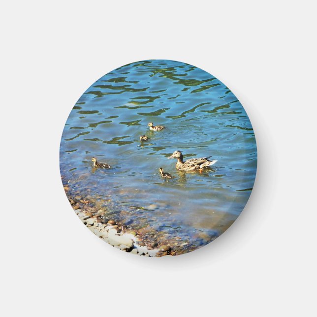 Familie der Enten Magnet (Vorne)