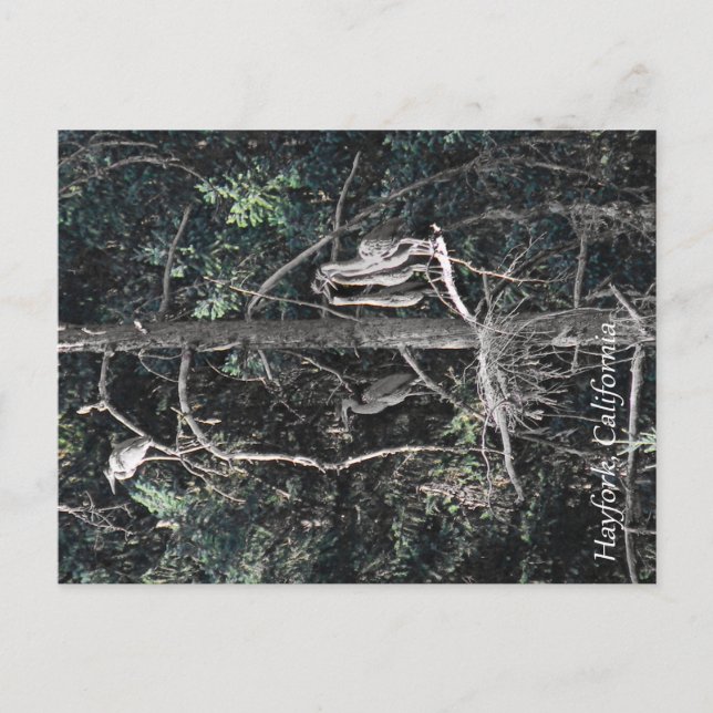 Familie der Helonen... Postkarte (Vorderseite)