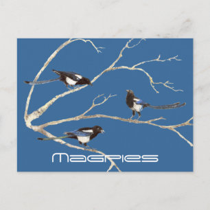 Familie der Magpies, Vögel, Natur, Wildtiere Postkarte