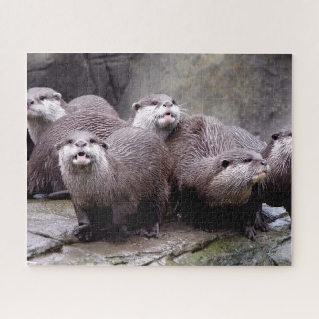 Familie der Otters Puzzle (Horizontal)